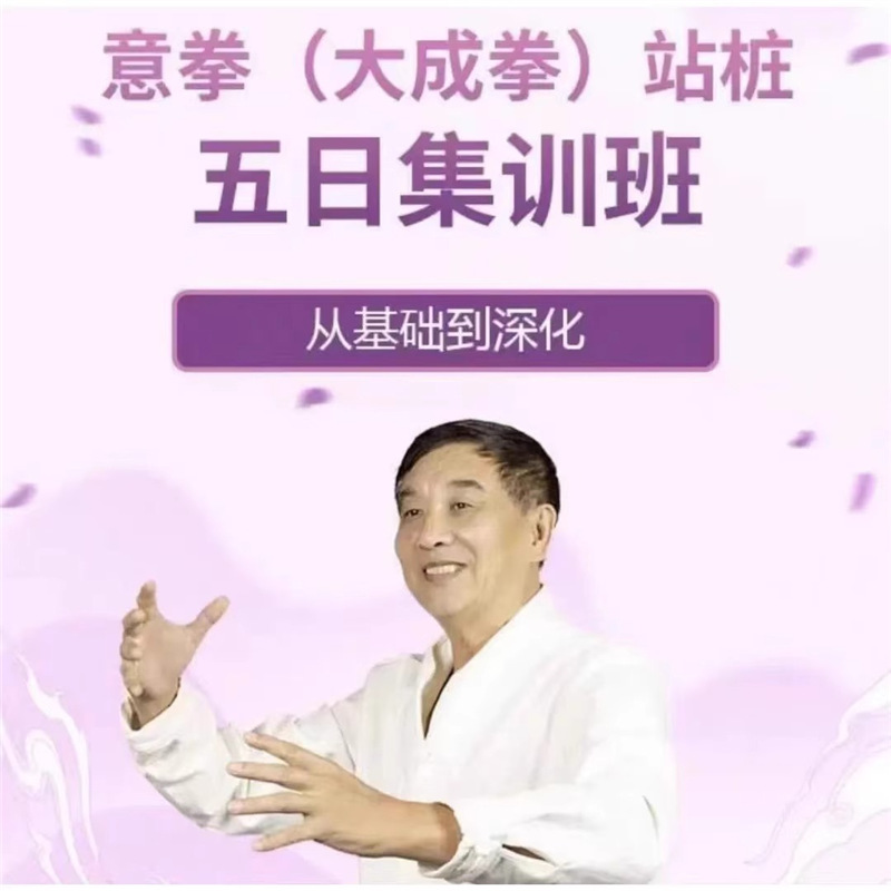 意拳大成拳五日站桩集训班从基本到深化高清视频课程
